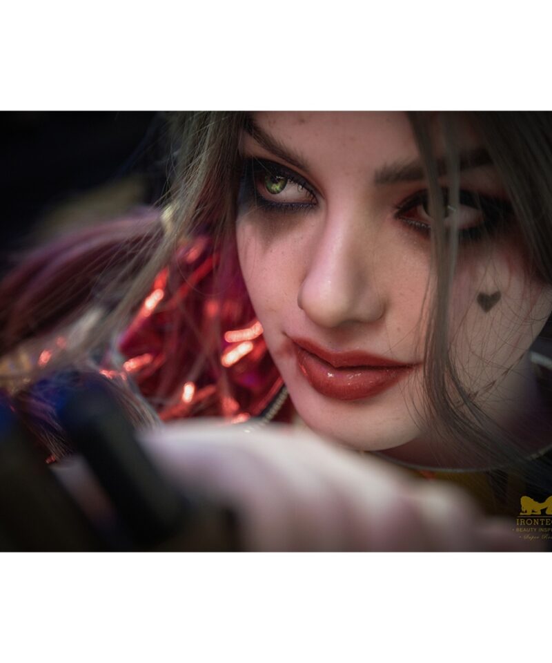 harley quinn 166minus s27 dc comics irontech doll 20