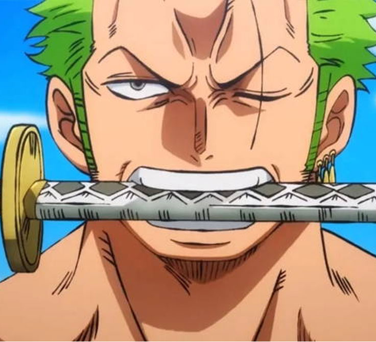 One Piece: A Legendary Anime Adventure of Pirates, Dreams, and Friendship 2 otakudolls onepiece zoro