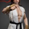 Silicone Doll Of Ryu 29 ryu m176 m1 street fighter irontech