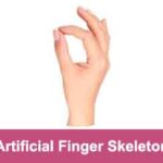Articulated fingers +$&nbsp;79
